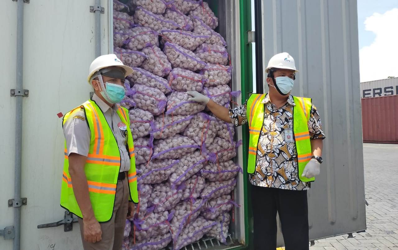 Dirjen Hortikultura, Kementan, Prihasto Setyanto saat memantau kedatangan bawang putih impor di Balai Karantina Tanjung Perak, Surabaya.