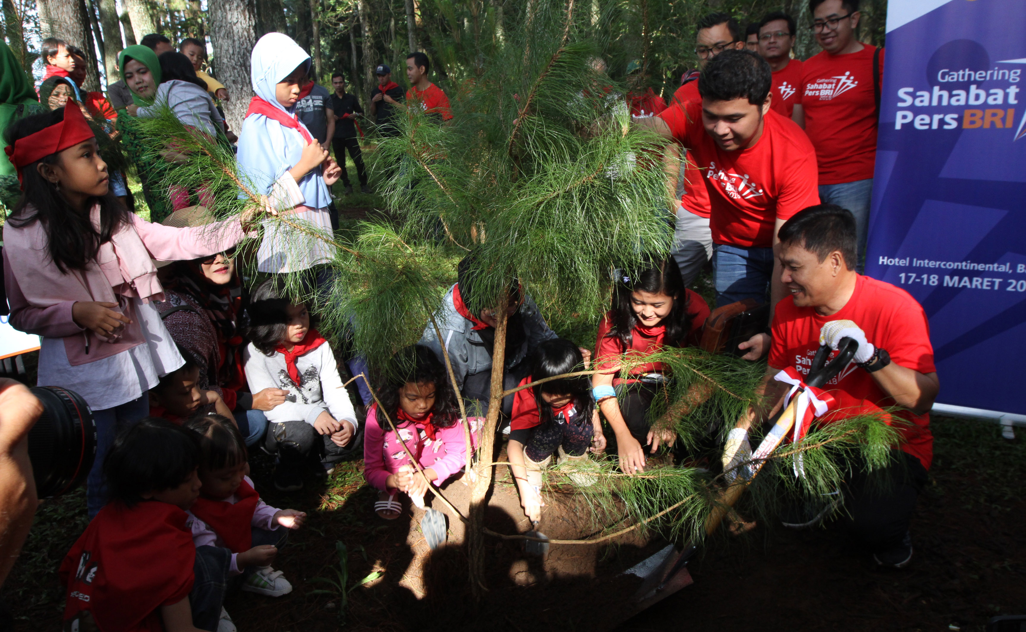 Corporate Secretary Bank BRI Bambang Tribaroto (kanan) bersama sejumlah anak secara simbolis melakukan penanaman 123 bibit Pohon Pinus 