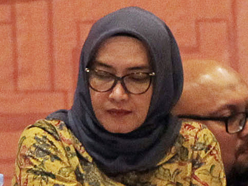 Komisioner Komisi Pemilihan Umum (KPU) Evi Novida Ginting Manik