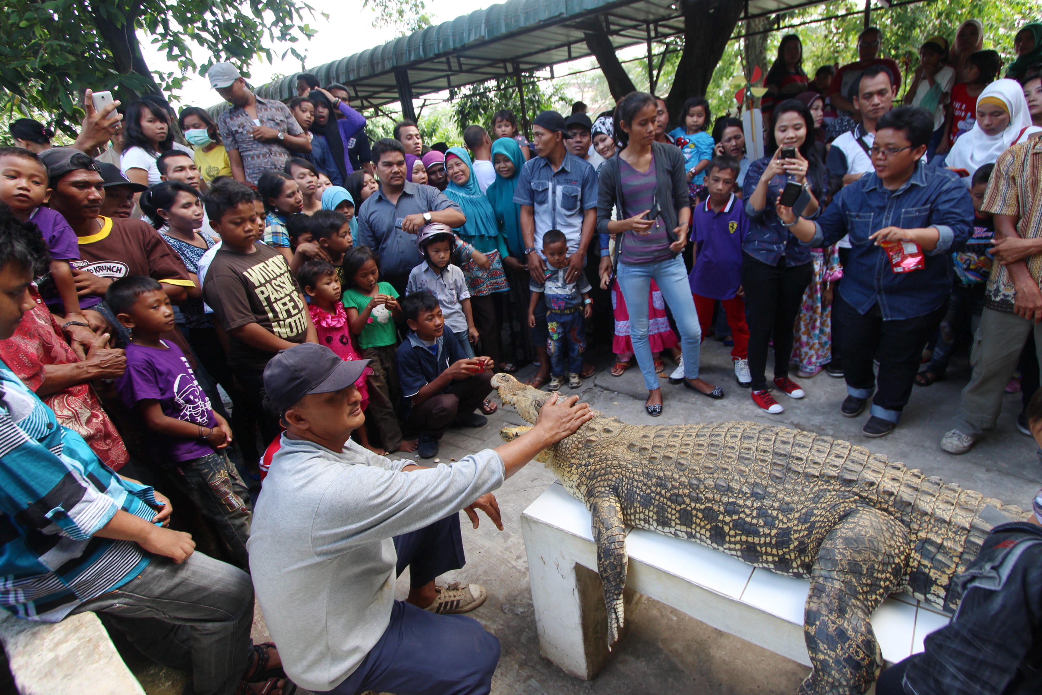 Tempat wisata buaya yang populer di Sumut ditutup sementara terkait wabah korona.