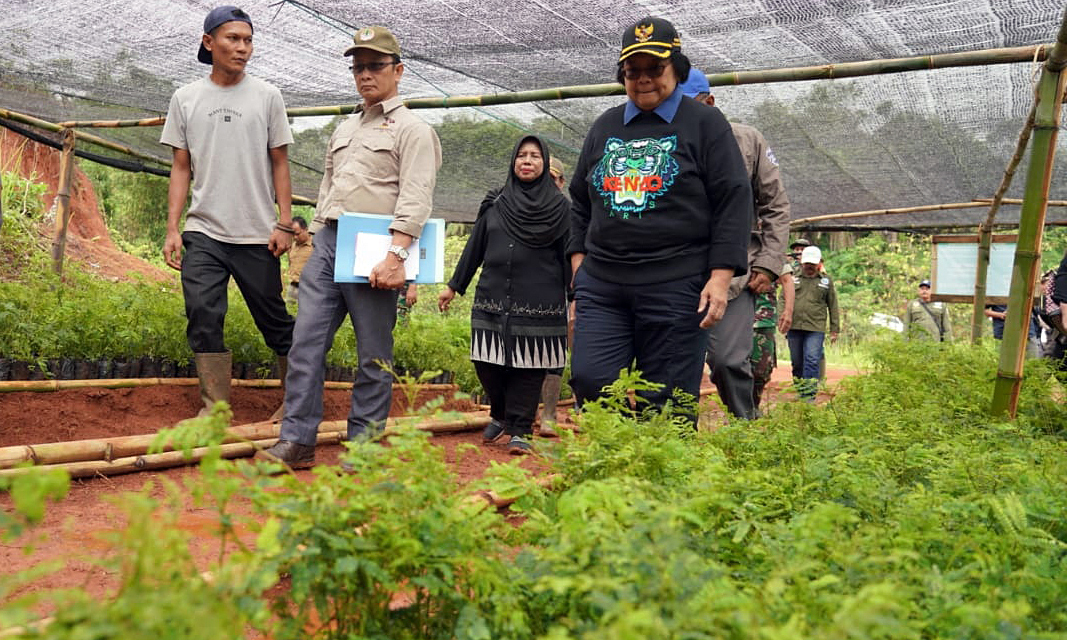 Menteri LHK Siti Nurbaya