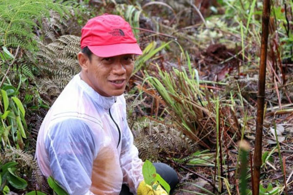 Kepala Dinas Kehutanan Kalsel, Hanif Faisol Nurofiq 