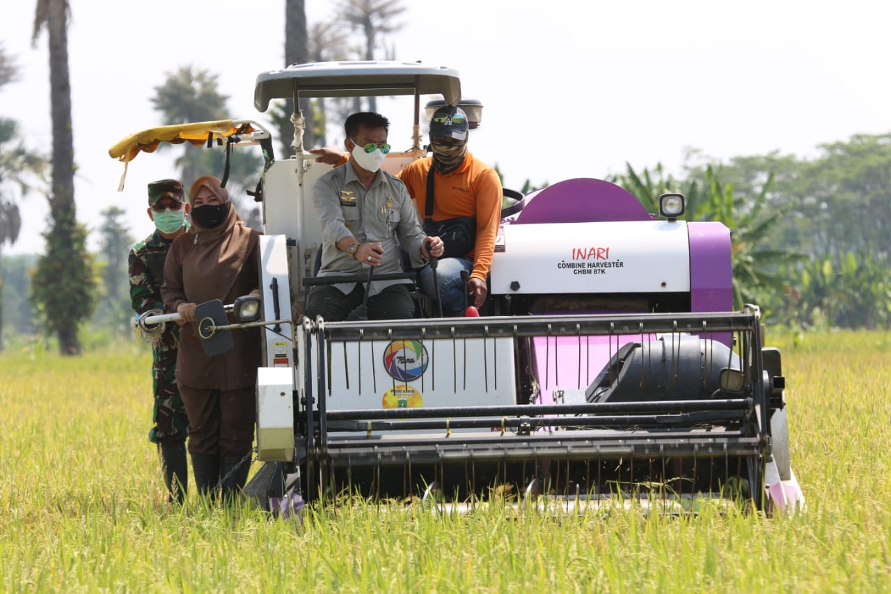 Mentan menguji teknologi alat panen combine harvester saat panen raya di Kabupaten Pandeglang, Banten.