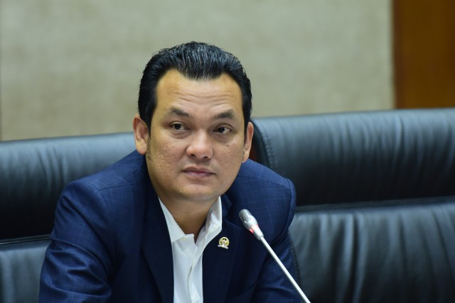 Wakil Ketua Komisi VI DPR RI Martin Manurung. 