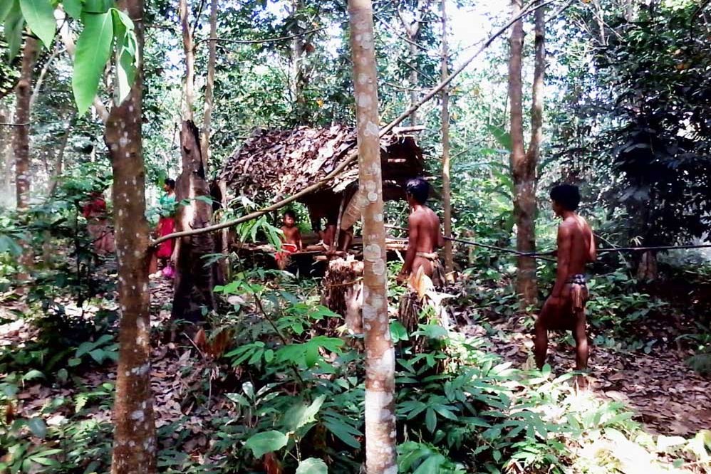 Khawatir Virus Korona, Orang Rimba Memilih Masuk Hutan lagi