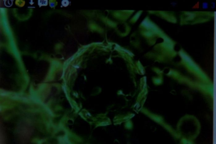 ilustrasi virus korona