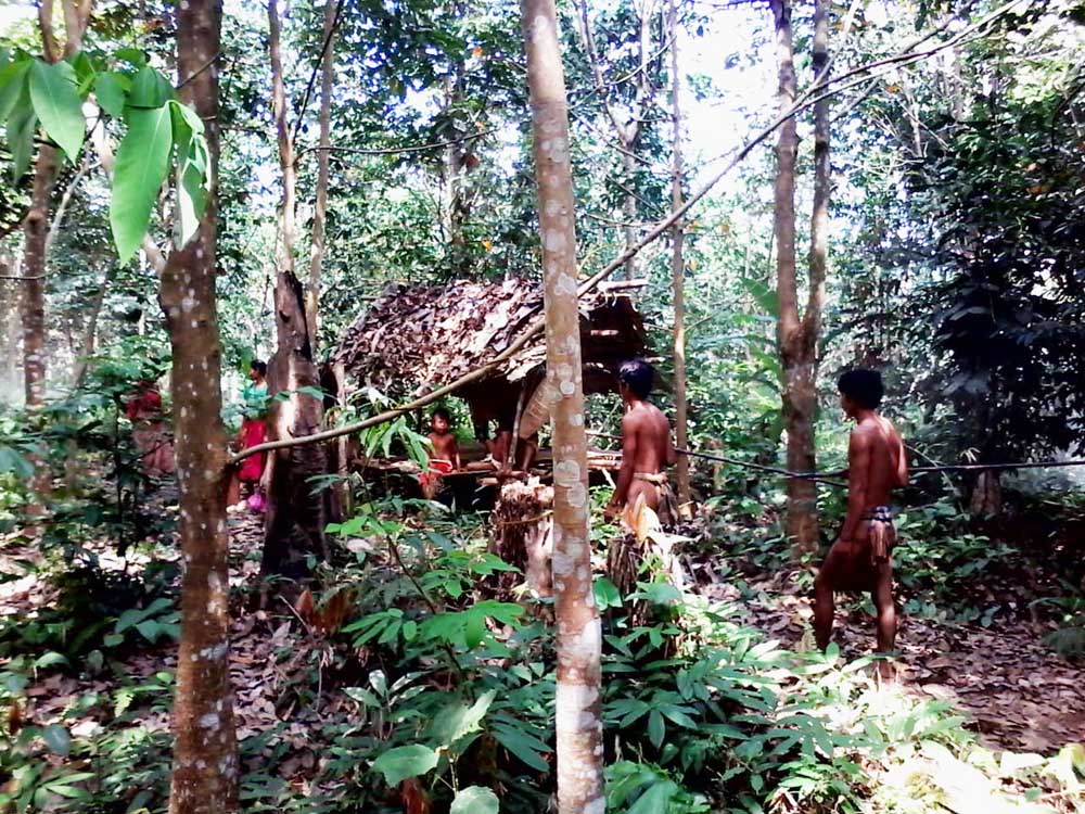 Suku Anak Dalam memiliki kearifan lokal besesandingon, mengasingkan diri di saat terjadi wabah penyakit. 
