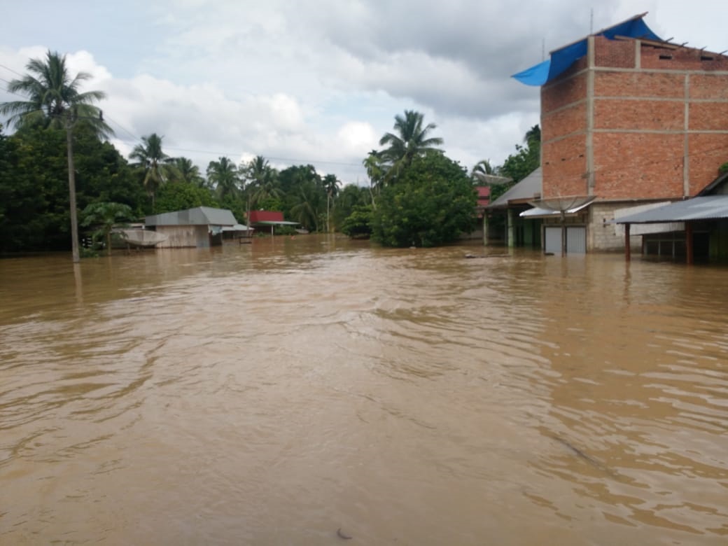 Sejumlah desa di bantaran Sungai Batanghari rawan tergenang banjir akibat tingginya curah hujan di wilayah hulu Provinsi Jambi.