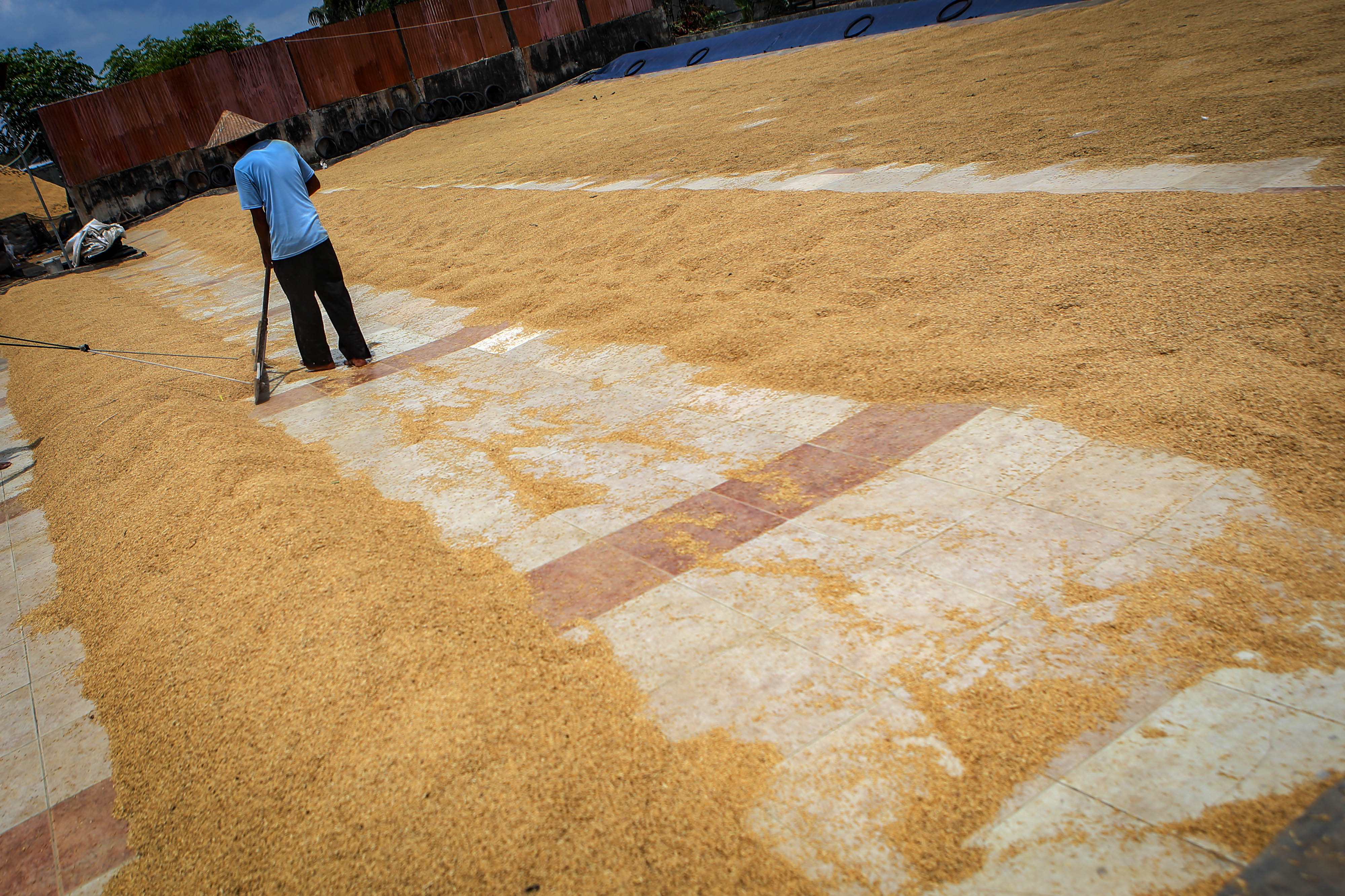 HPP dapat benar-benar membawa perubahan dan keuntungan bagi petani 