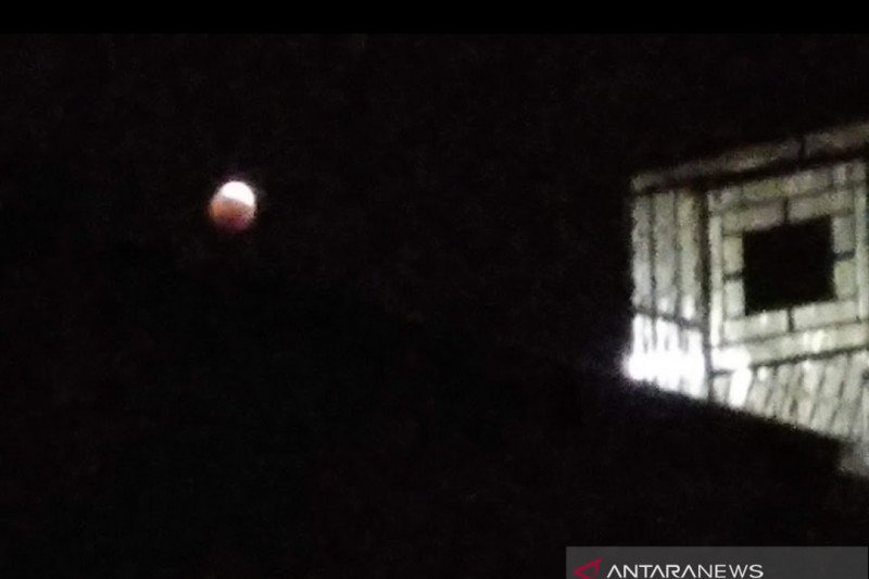 50 Tahun Hari Bumi Dirayakan Secara Digital