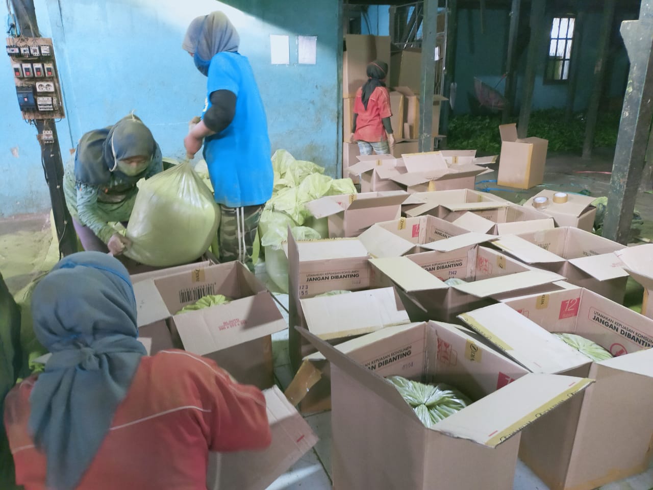Arafah Tea telah secara konsisten melakukan ekspor teh dalam bentyk matcha tea ke pasar Internasional, khususnya pasar Korea Selatan.