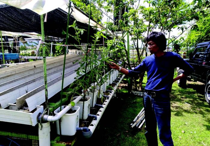 Ilustrasi bertani di halaman rumah.