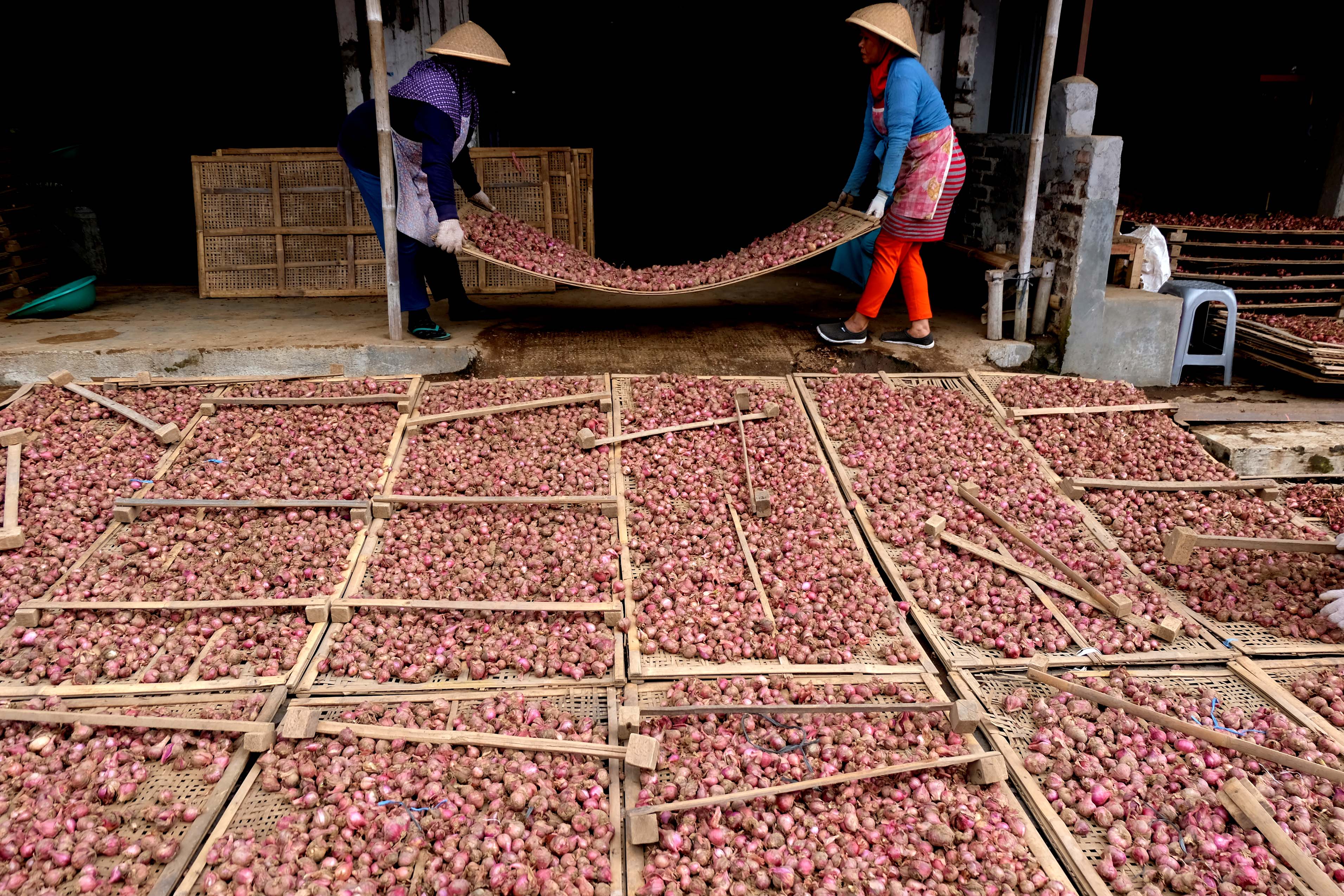 Ilustrasi-- Pekerja menjemur bawang merah di sentra penjualan bawang merah pasar Legi Parakan, Temanggung, Jateng.