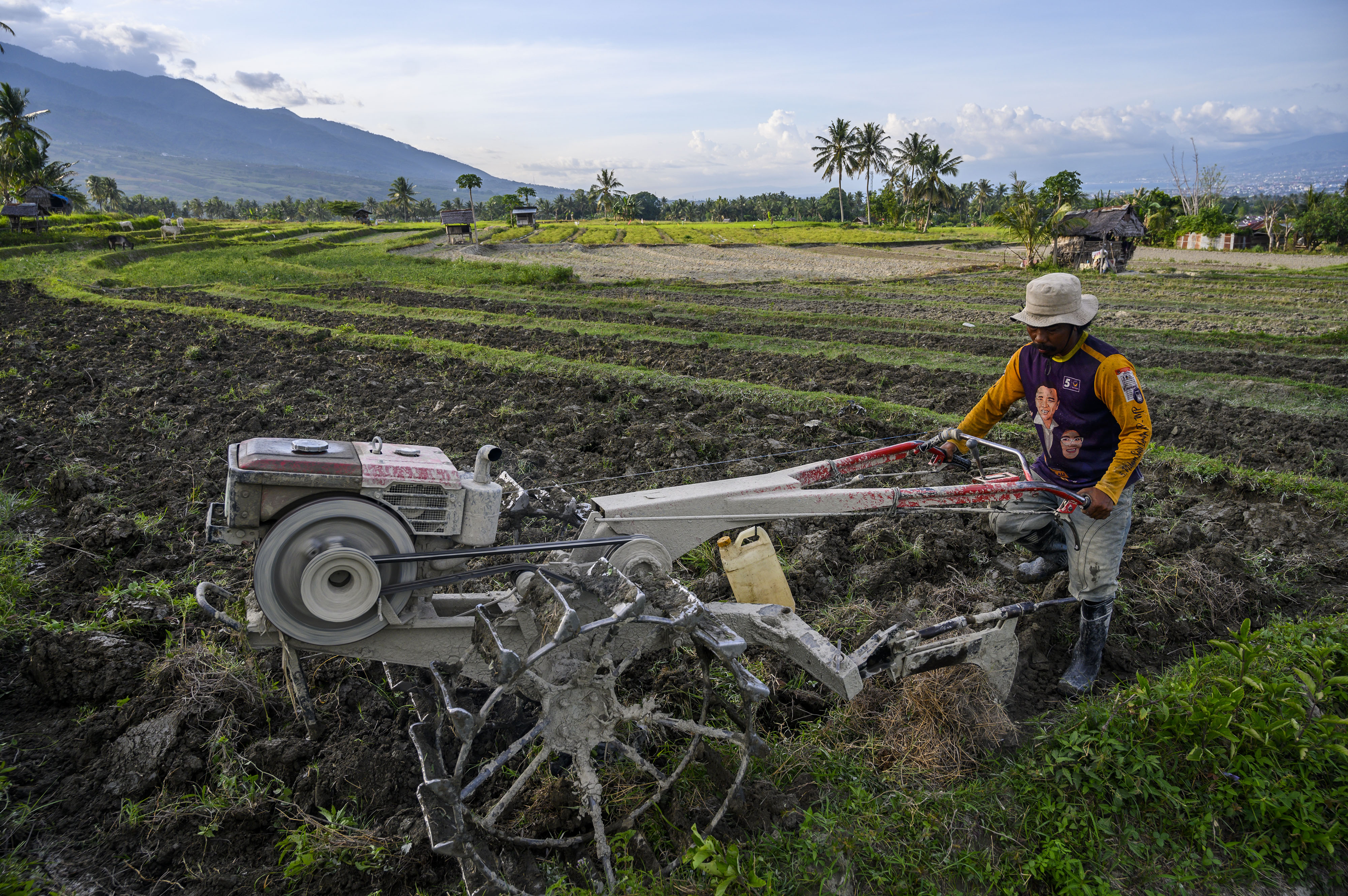 Sektor pertanian tetap produksi 
