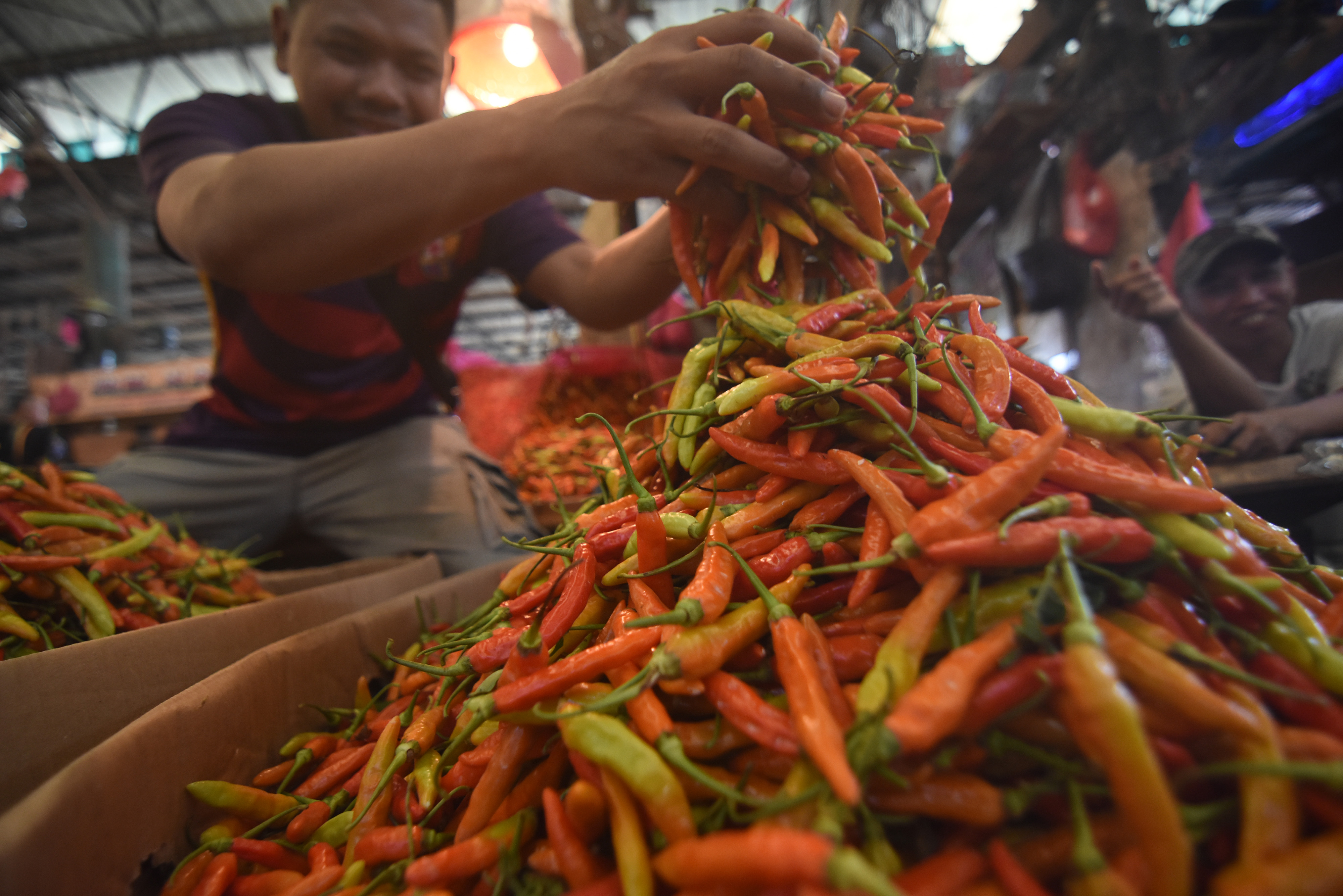Seorang pedagang menata cabai di Pasar Induk Kramat Jati, Jakarta Timur.