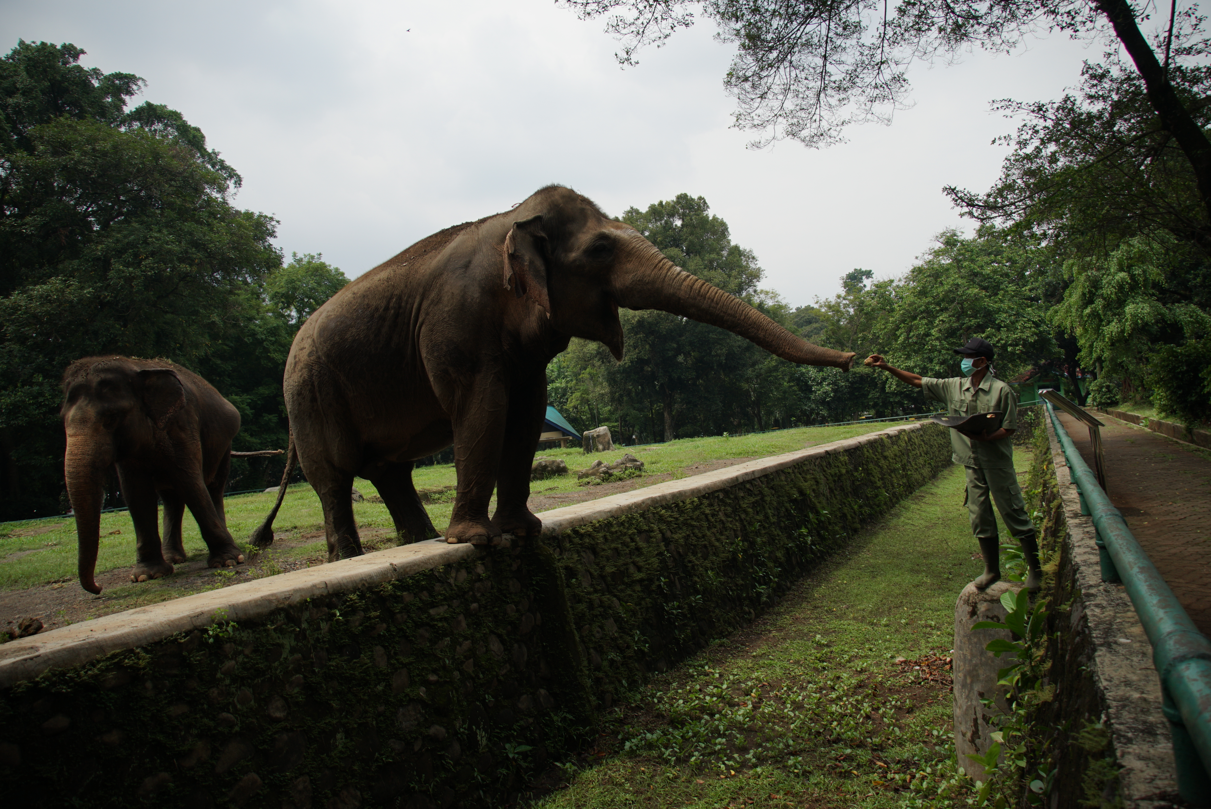 Kebun Binatang Ragunan