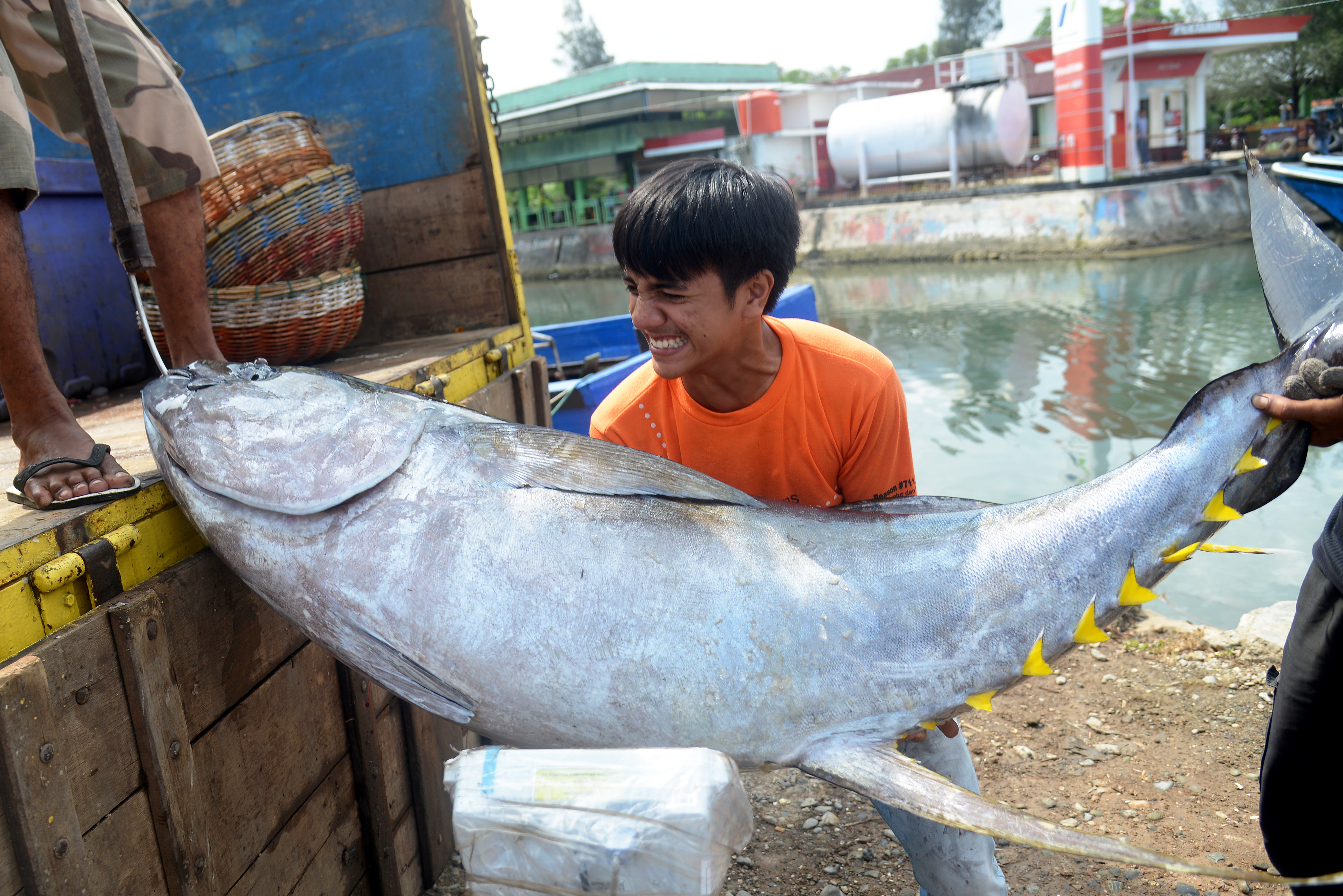 Nelayan mengangkat ikan tuna sirip kuning ke dalam truk di Pelabuhan Perikanan Ulee Lheue, Kecamatan Meuraxa, Aceh.