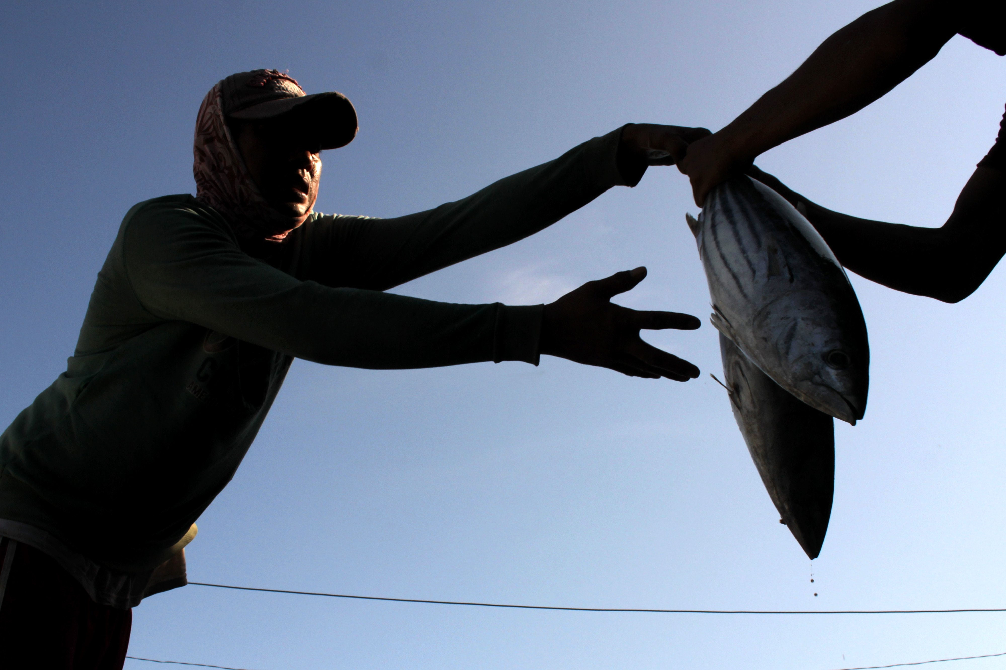 Nelayan mengangkut ikan hasil tangkapan di wilayah Makassar, Sulawesi Selatan.