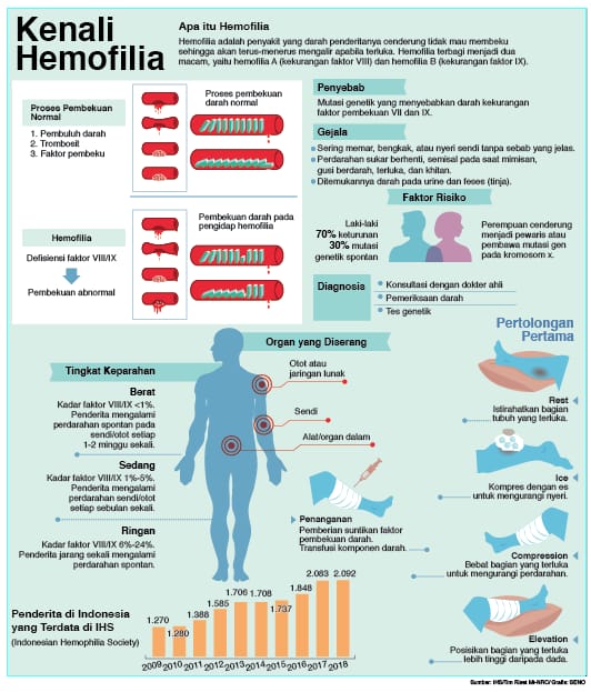 Infografis Hemofilia