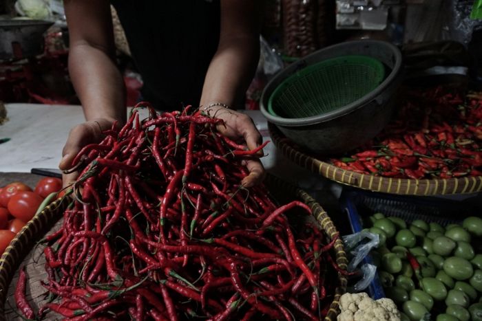 Ilustrasi -- Pedagang merapikan cabai di Pasar Tradisional Grogol, Jakarta Barat, Selasa (19/11)