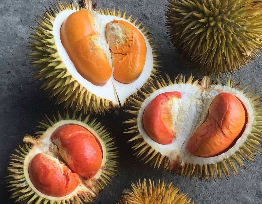 Kementan membantu petani durian melakukan inovasi penjualan via online dari Jawa hingga Papua.