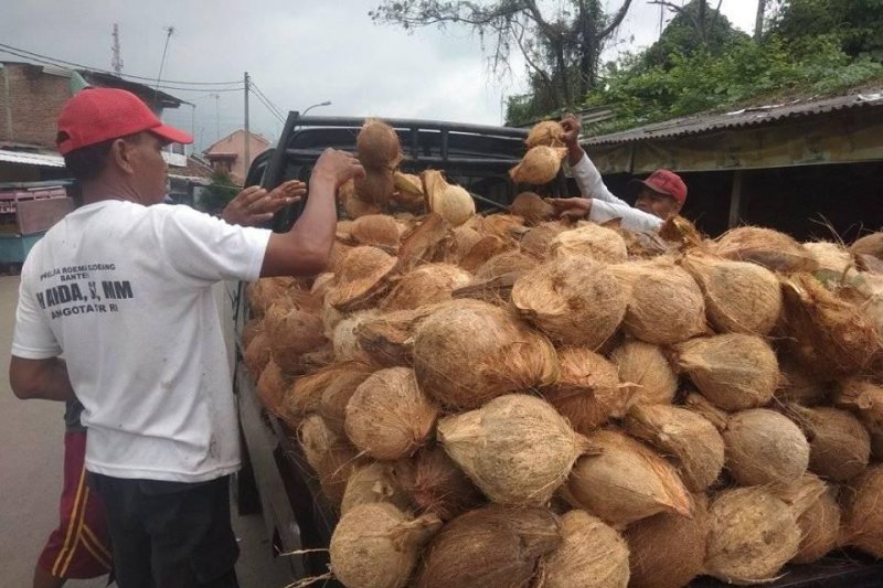 Omzet pendapatan pedagang kelapa di Kabupaten Lebak, Banten, naik karena  meningkatnya permintaan pasar.