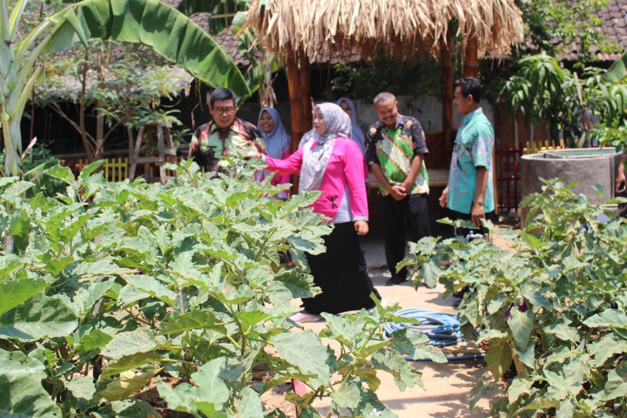 Kegiatan P2L dirasakan manfaatnya oleh  oleh Kelompok Wanita Tani (KWT) Wijaya Kusuma di Desa Celep, Kecamatan Kedawung, Sragen, Jateng.