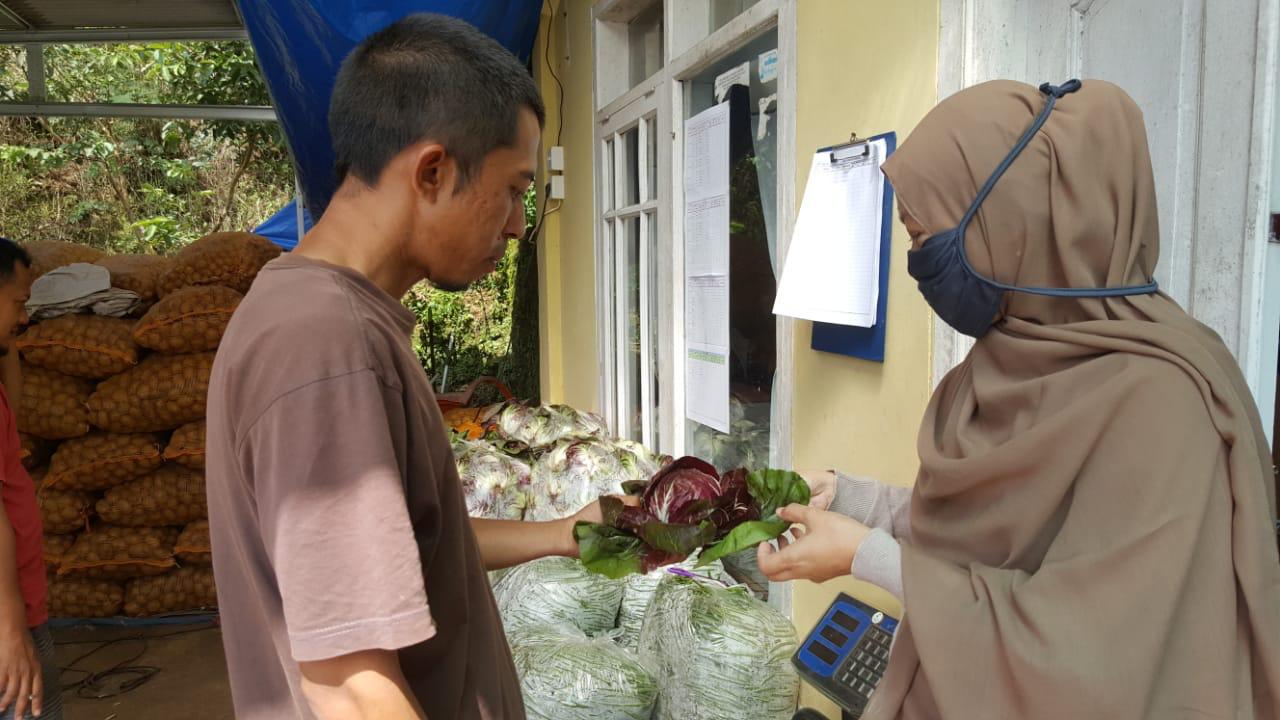 Sejumlah petani yang tergabung dalam Lembang Agribusiness Incubation Center memasarkan produk pertanian dengan memanfaatkan IT.