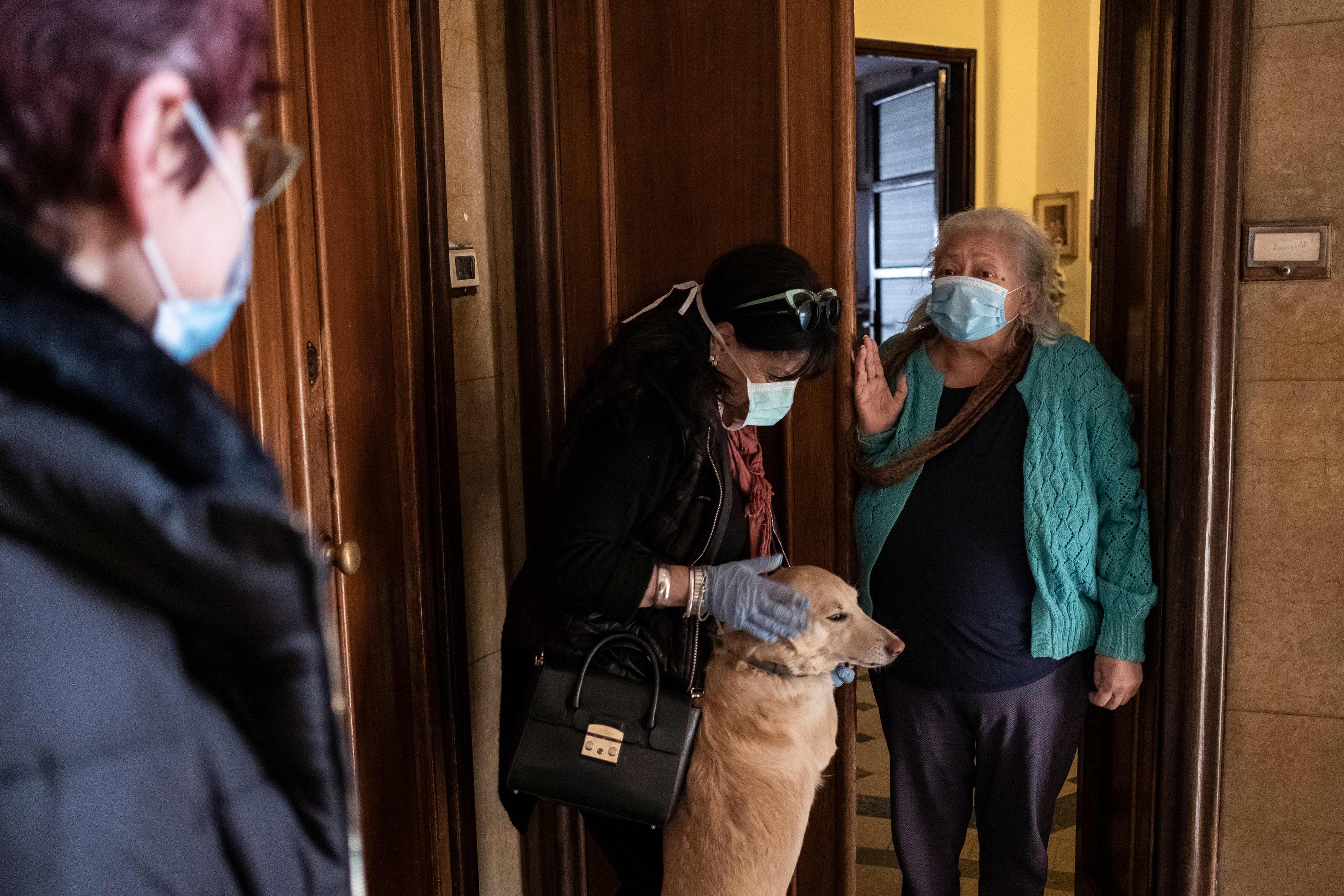 Benarkah Hewan Peliharaan dapat Terinfeksi Virus Korona?