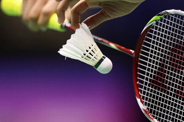 Ilustrasi bulu tangkis.