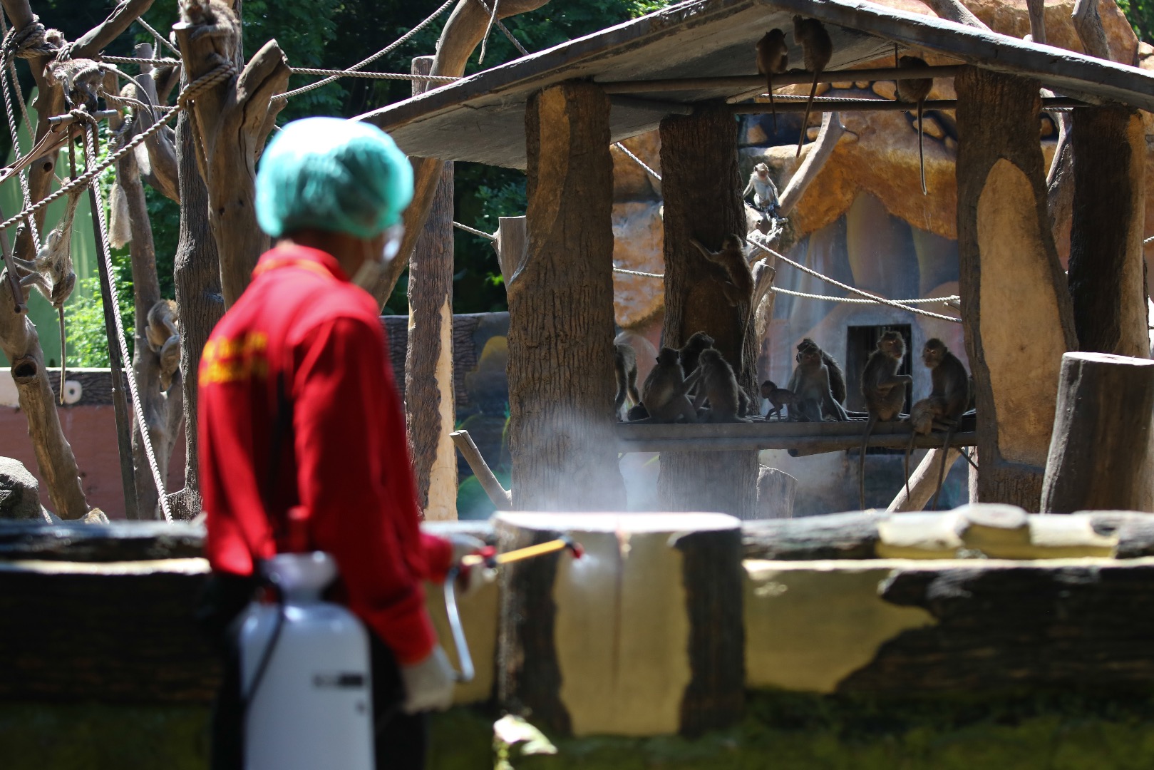  Petugas menyemprotkan larutan disinfektan di area Kebun Binatang Surabaya, Jawa Timur, Selasa (17/3/2020)