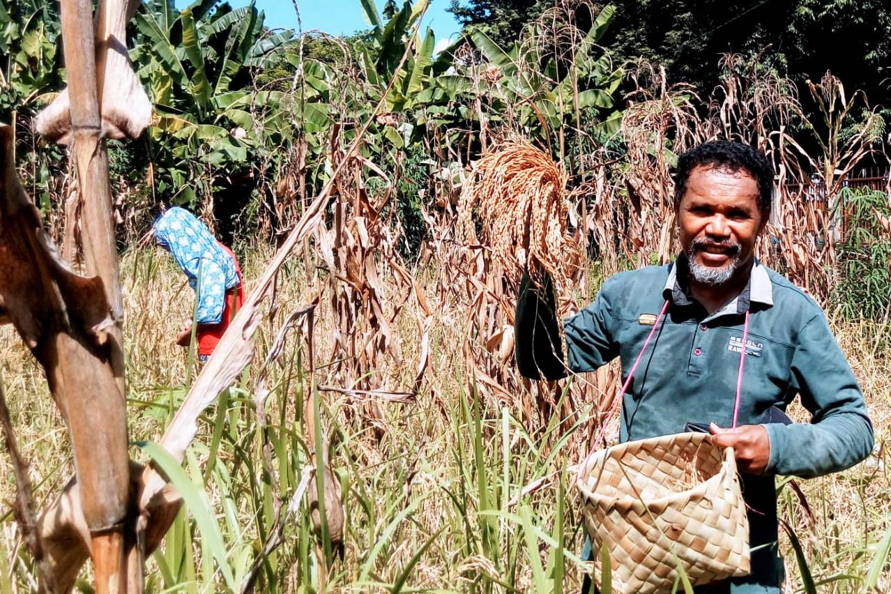  Hadapi Covid-19, gereja ajak umat tingkatkan pangan mandiri untuk jaga ketahanan pangan.