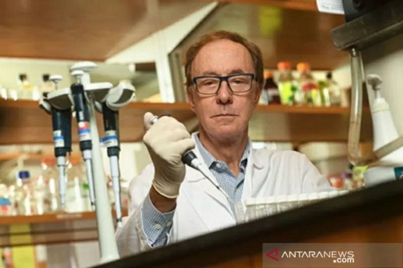 Para ilmuwan berupaya temukan obat baru untuk pasien Covid-19.