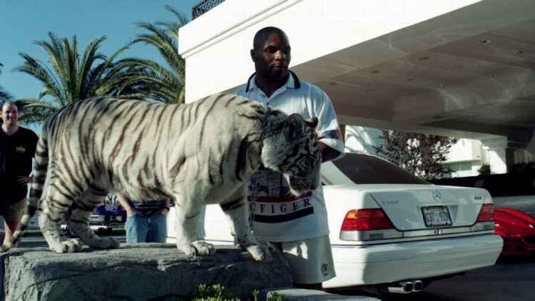 Mike Tyson dan harimau peliharannya