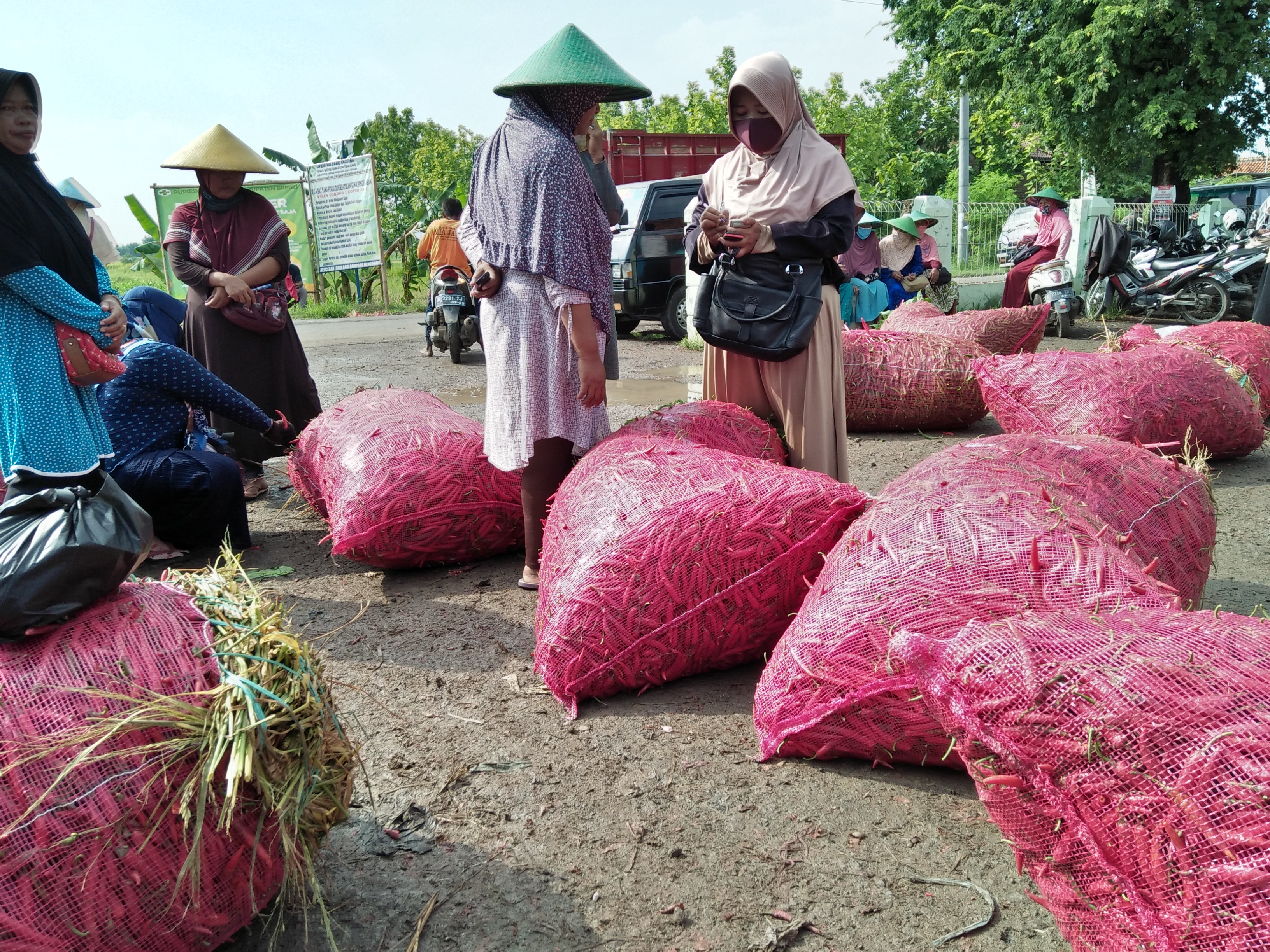 Pedagang cabai merah di Pasar Bawang Merah dan Lombok Sengon,Kecamatan Tanjung, Brebes. 