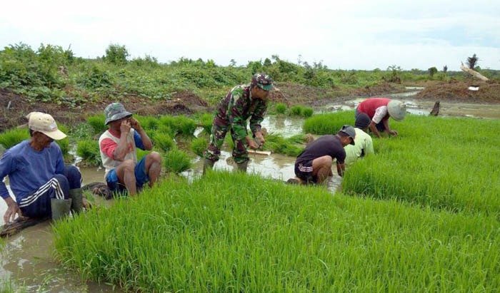 Kabupaten Keerom, Papua berbatasan langsung dengan PNG sehingga ekspor pertanian lebih mudah.