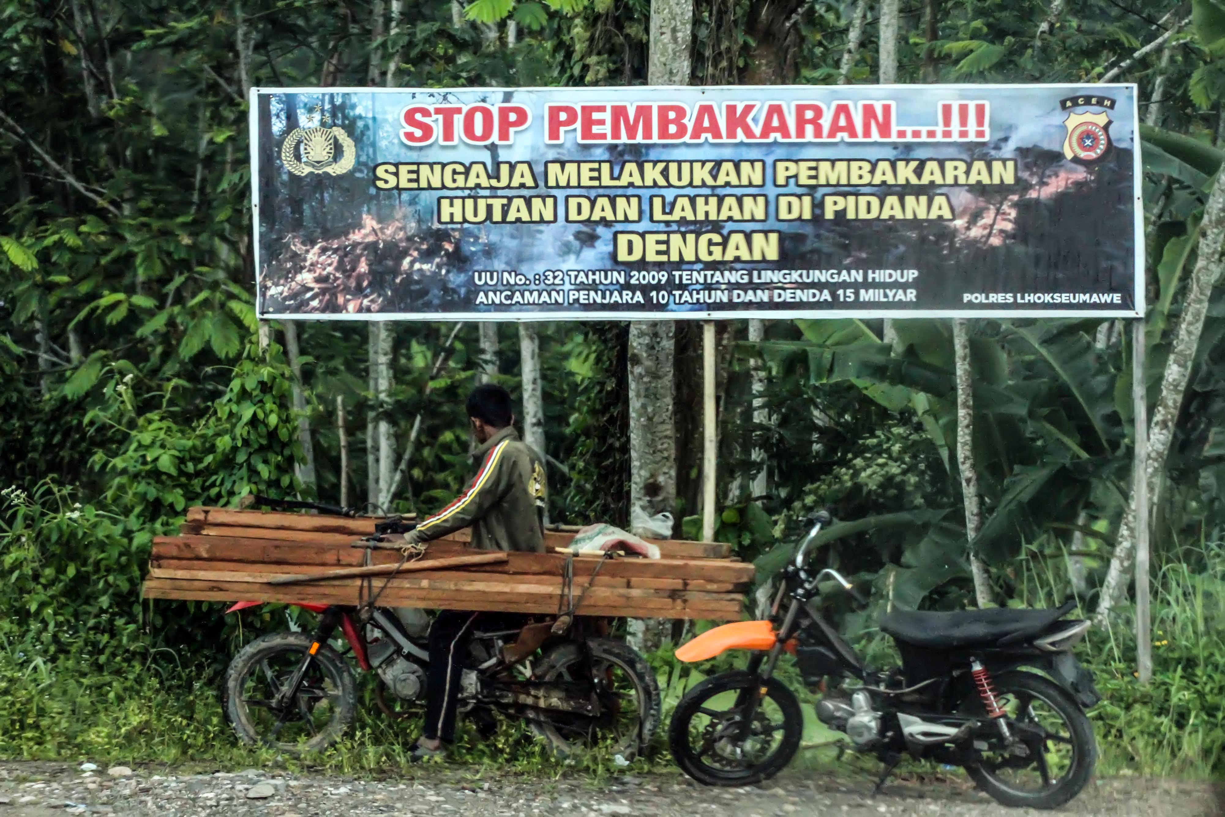 Kasus illegal logging yang terjadi di Gowa, Sulawesi Selatan segera disidangkan di Kejaksaan Tinggi.