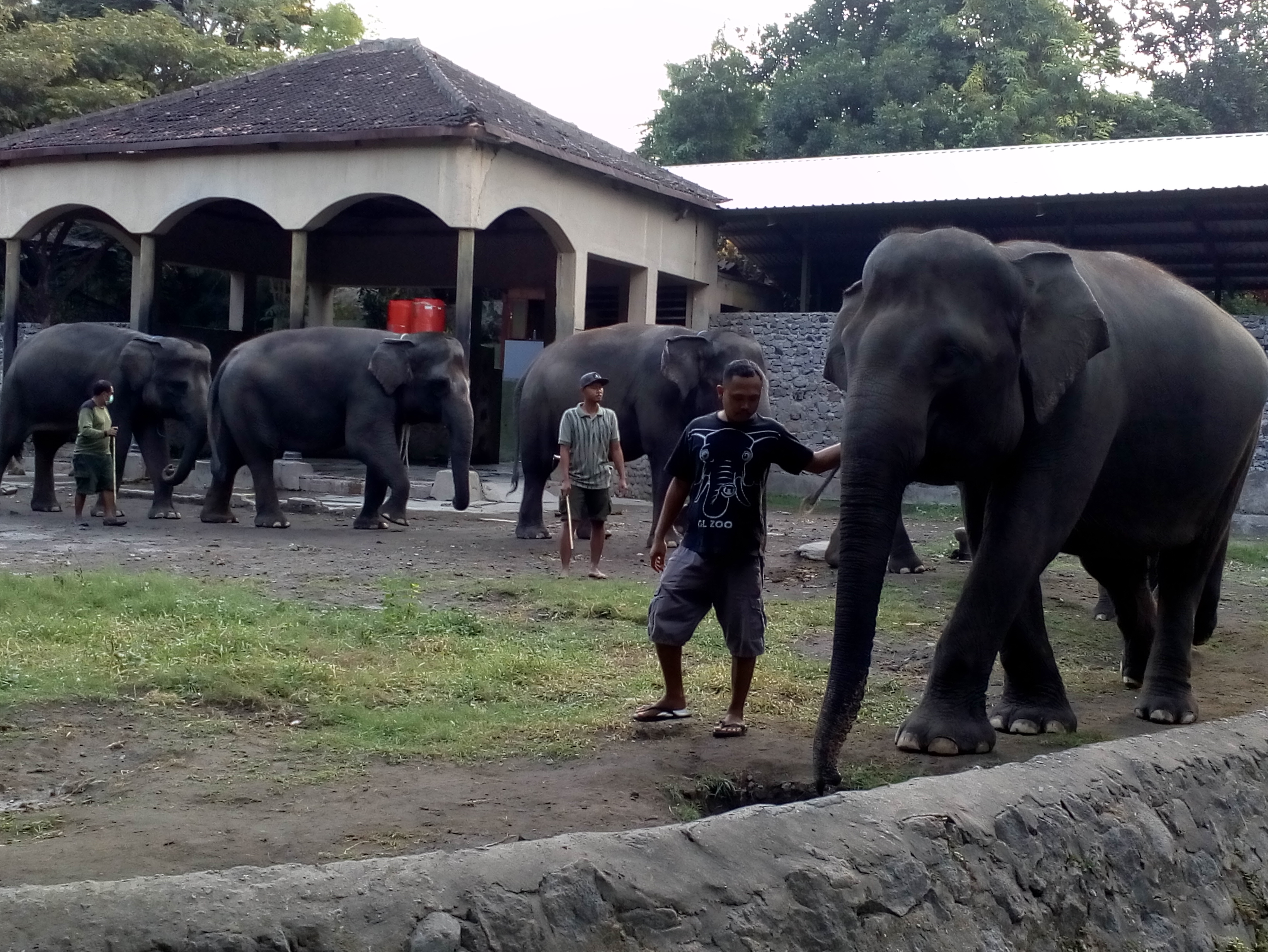 GLZoo Yogyakarta melakukan pengetatan pengeluaran, seiring dengan penutupan destinasi wisata tersebut dari karena pandemi covid-19.