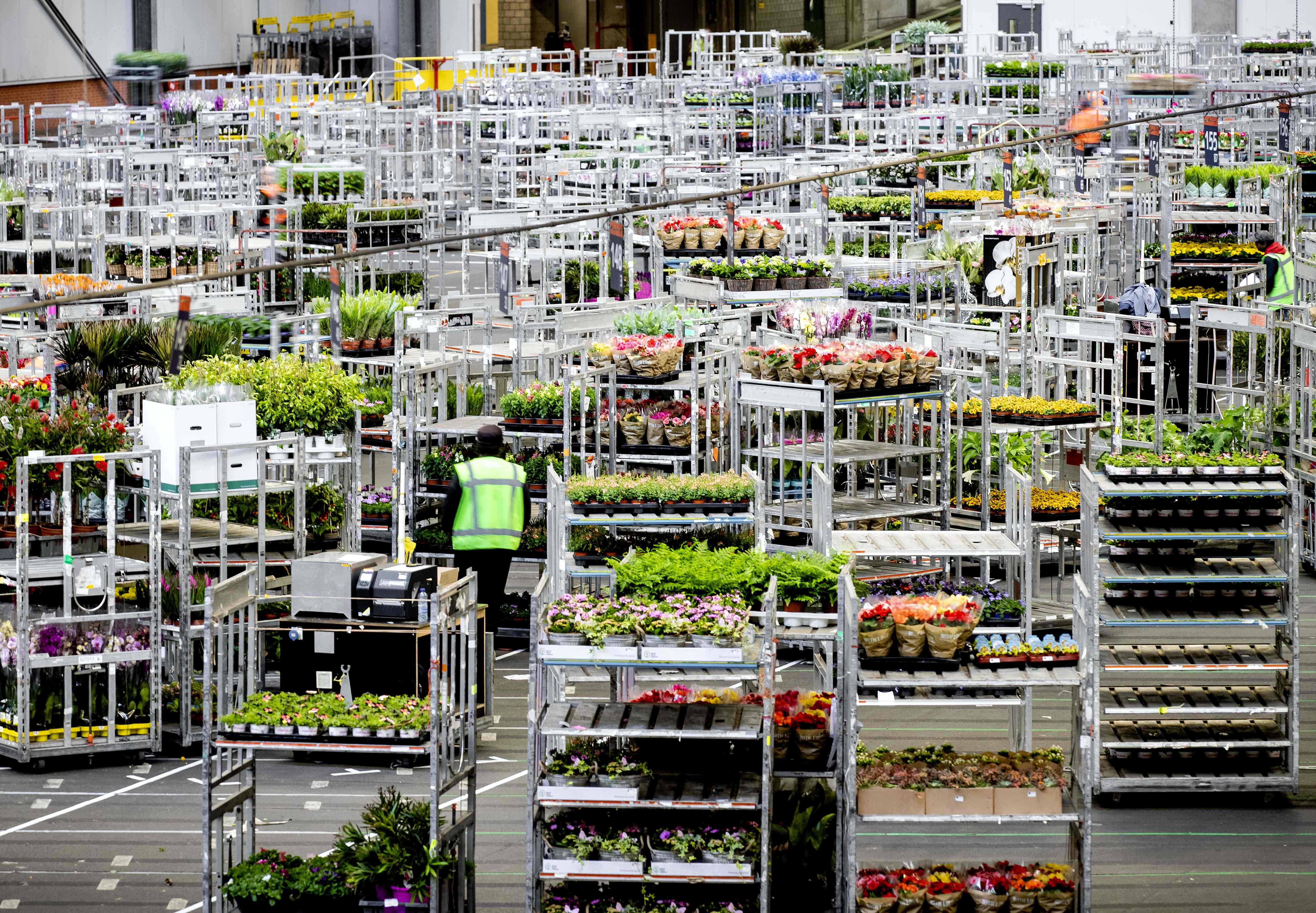 Toko bunga di Belanda yang sepi pembeli. Di Inggris seorang pengusaha tanaman mendonasikan karangan bunga untuk tenaga medis