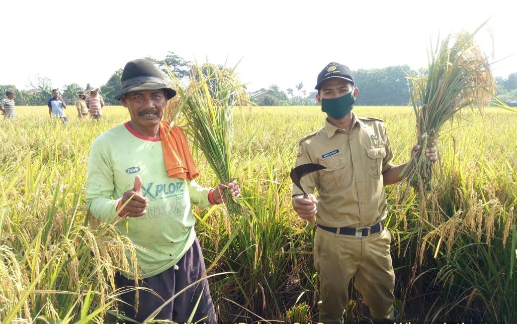 Lampung Selatan Segera Punya Perda LP2B