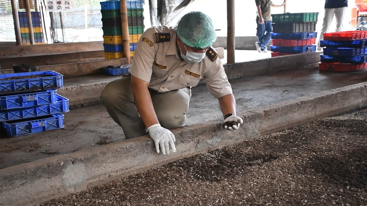  Ekspor dua jenis larva asal Bogor tercatat tetap tinggi pada triwulan pertama 2020.
