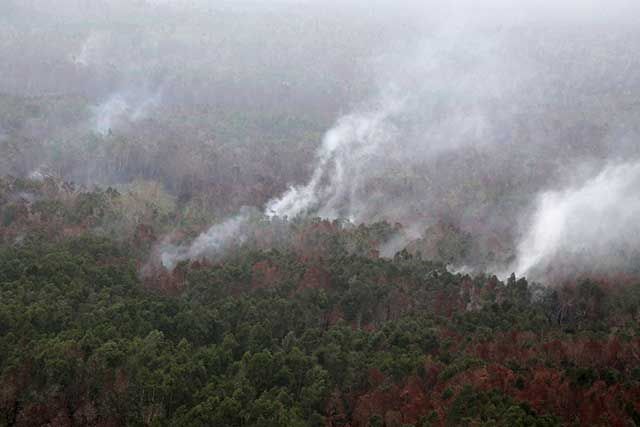 Sejumlah titik api di Sumsel mulai terlihat