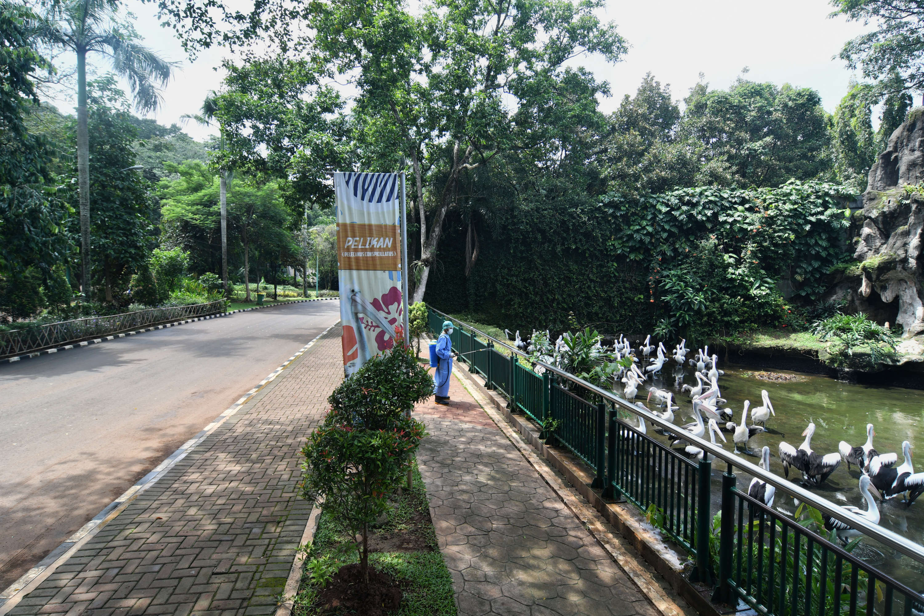 Penyemprotan disinfektan juga dilakukan di Taman Margasatwa Ragunan