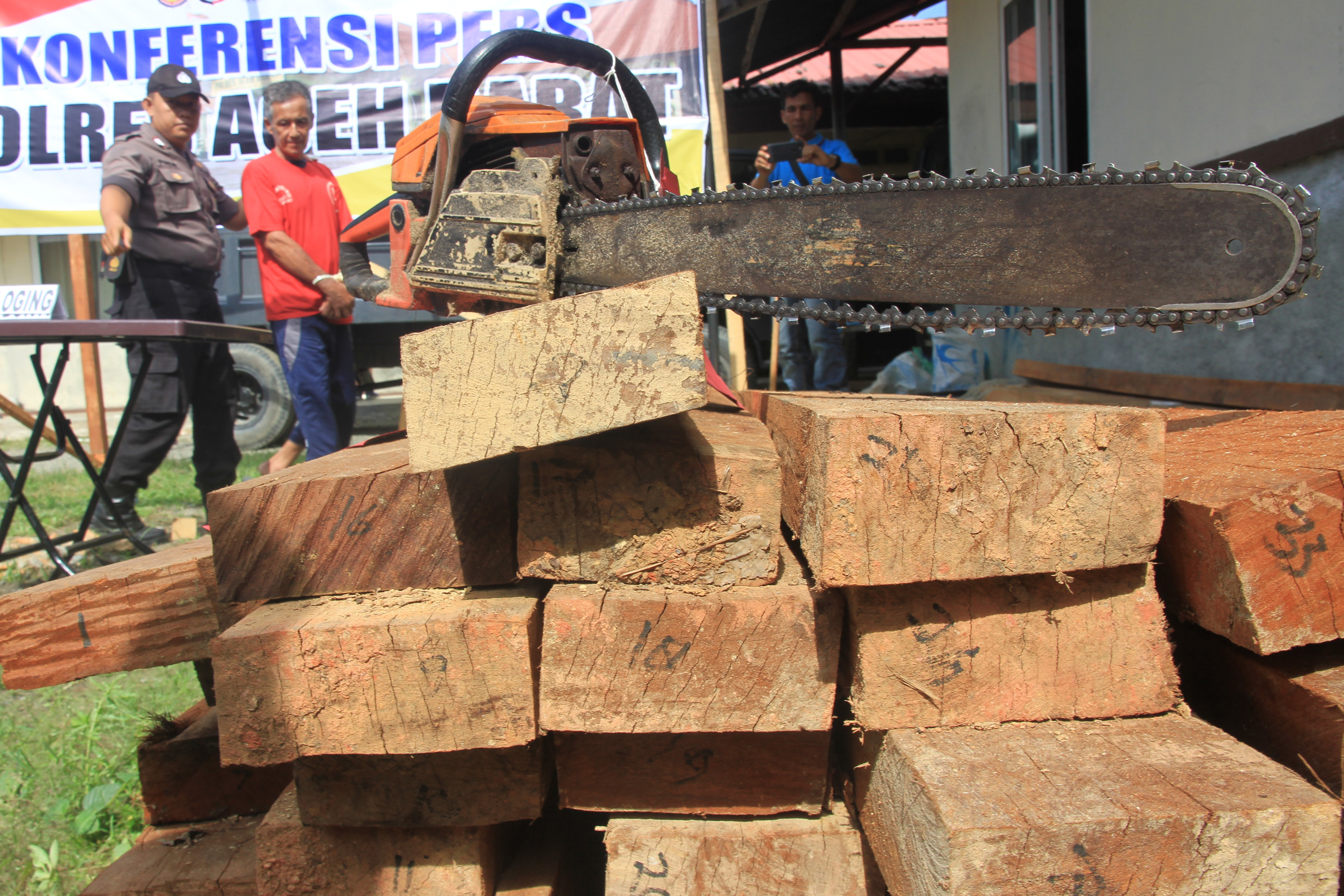 Personel Kepolisian Polres Aceh Barat memperlihatkan pelaku perambahan kawasan hutan lindung beserta barang bukti kayu ilegal jenis merant