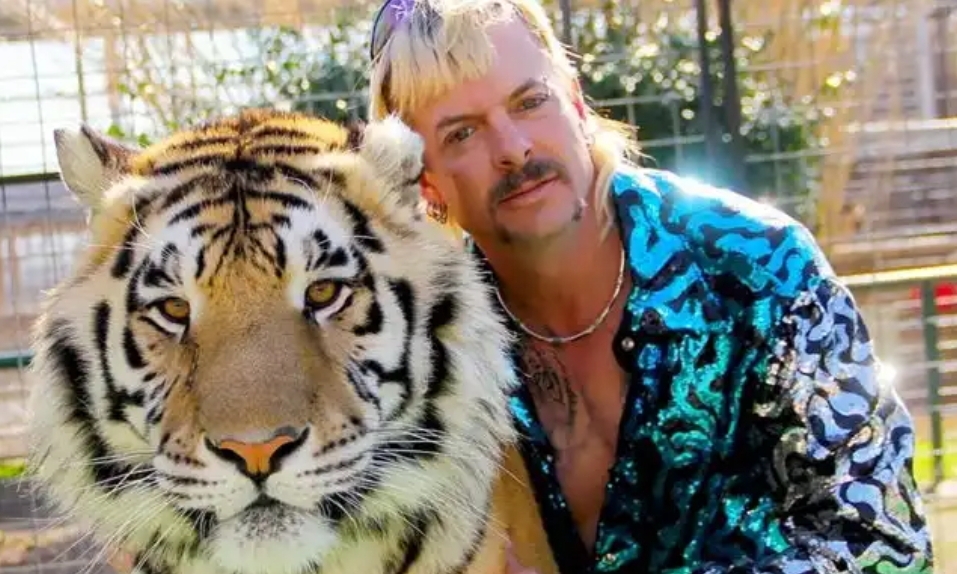 Rekomendasi Film: Tiger King, Kegilaan Pengeksplotasi Harimau