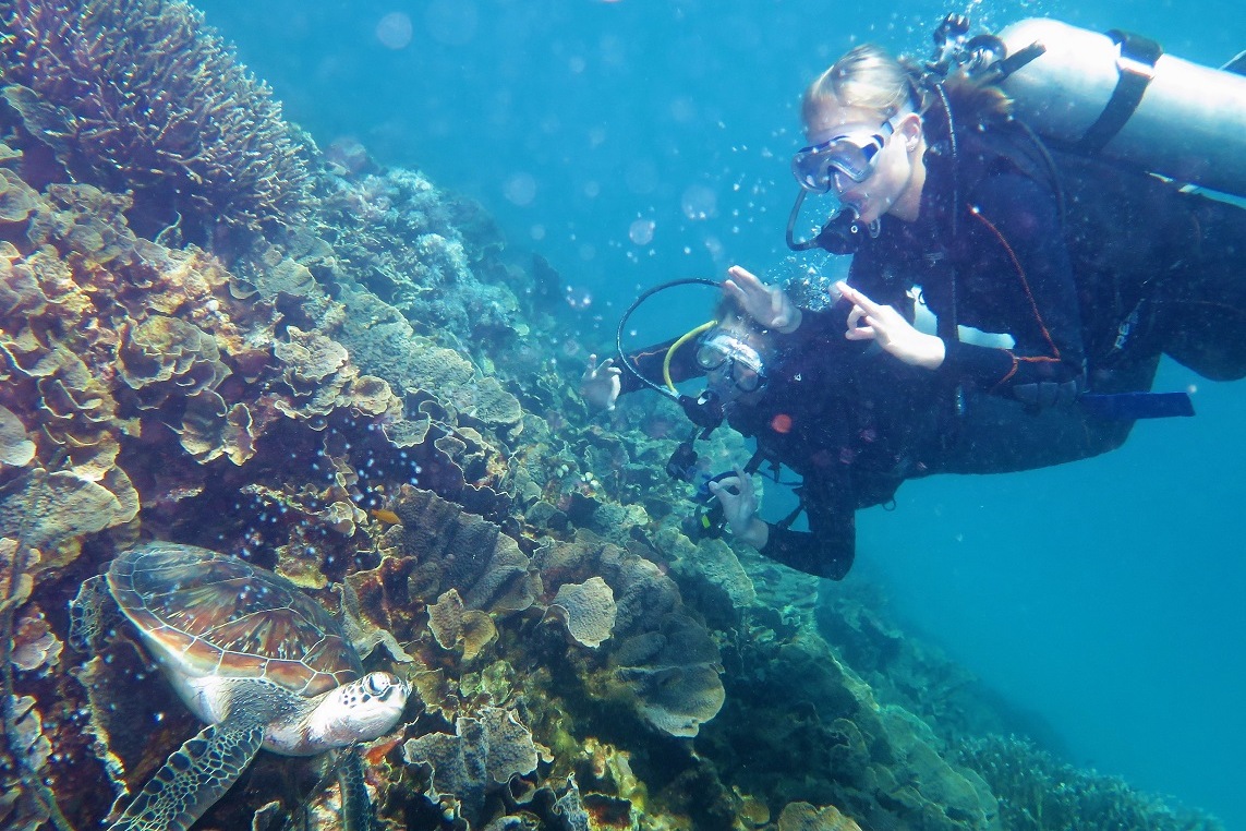 Turis saat menyelam di sekitar Pulau Komodo, Labuan Bajo, Nusa Tenggara Timur (NTT). 