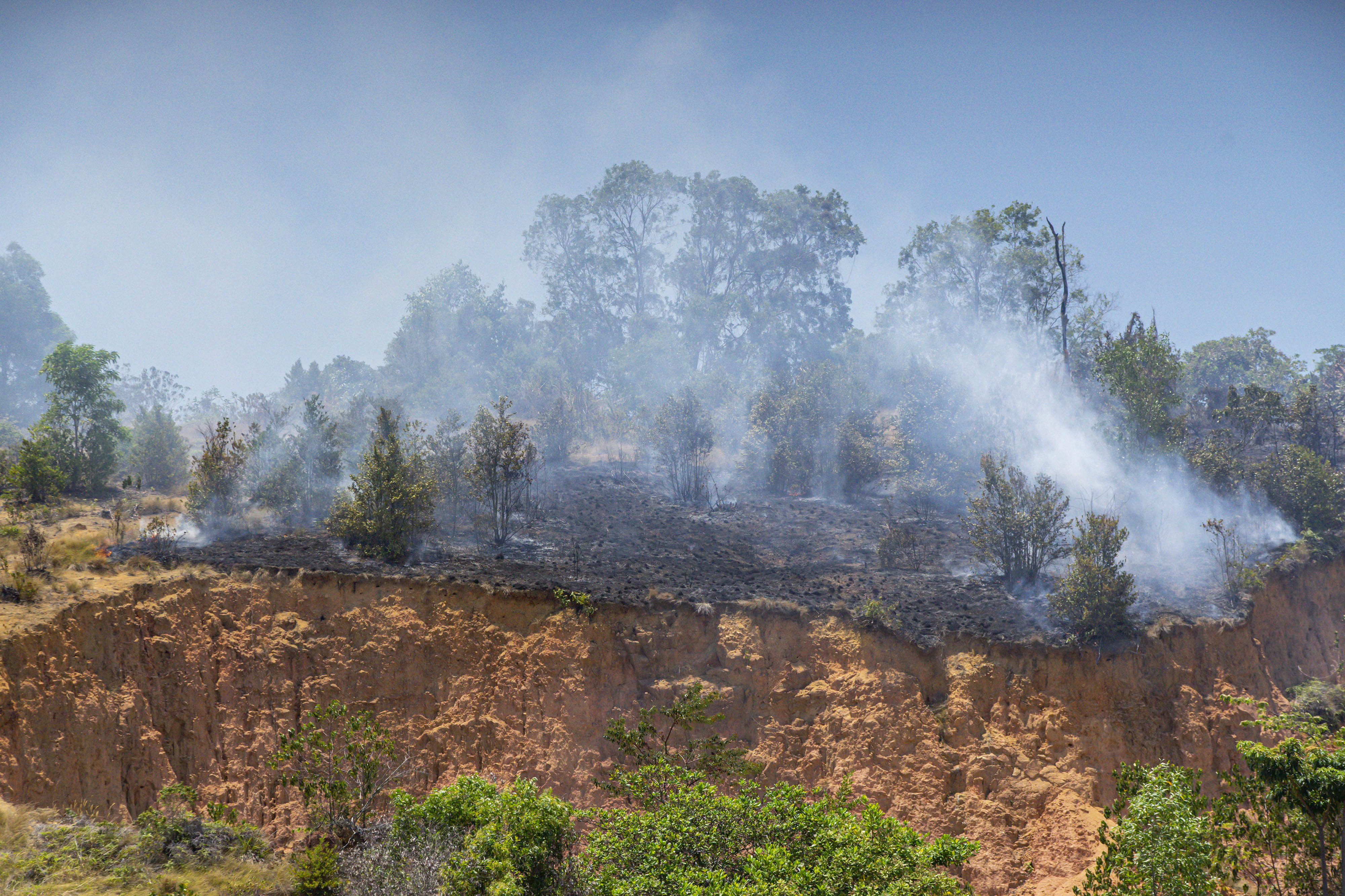 Asap mengepul akibat kebakaran hutan di wilayah Nongsa, Batam, Kepulauan Riau, Rabu (15/4/2020)