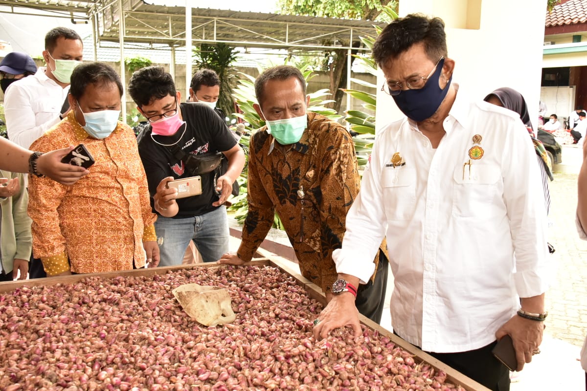 Mentan SYL sidak ketersediaan bawang merah.
