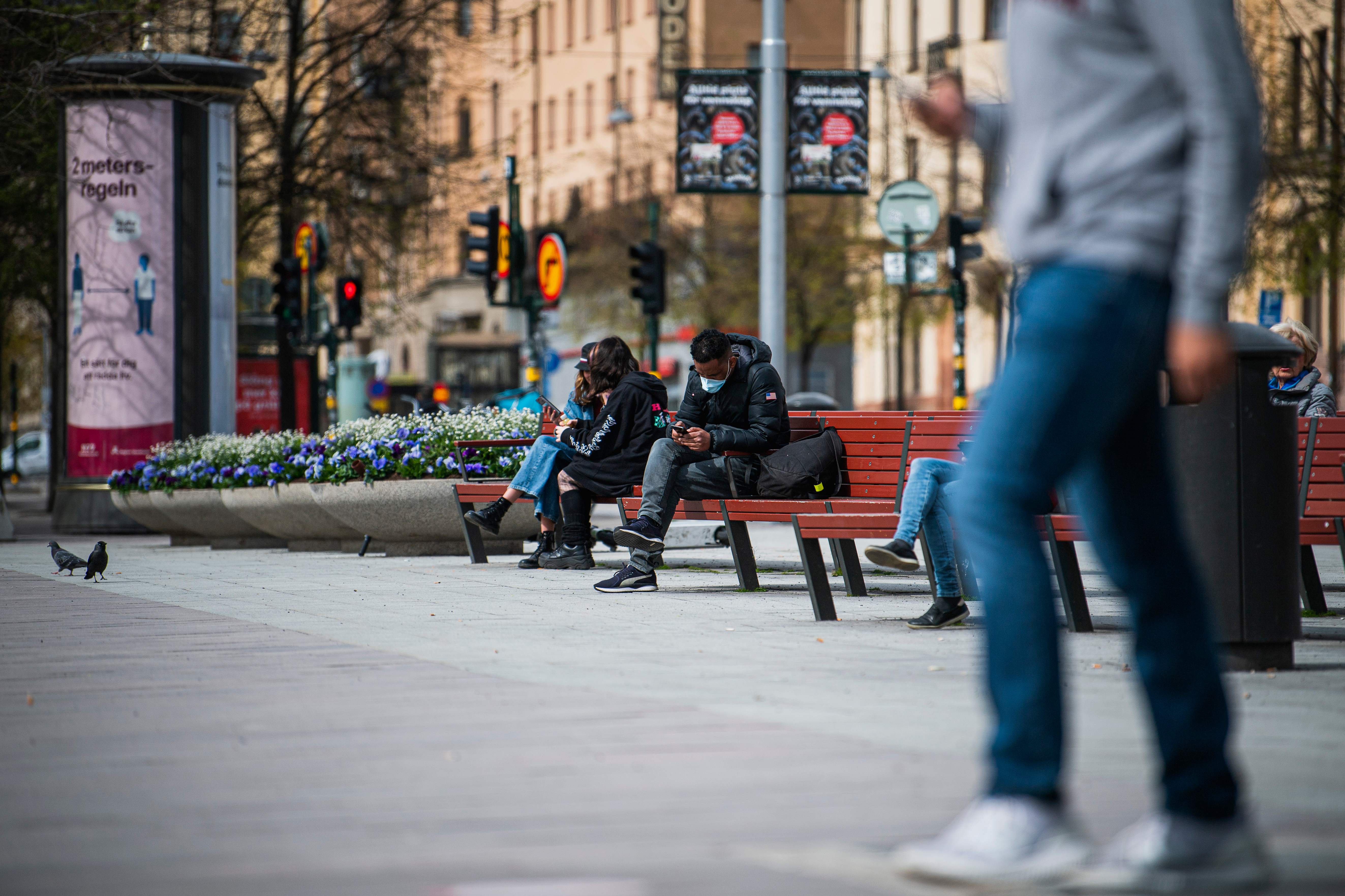 Seorang warga duduk dan mengecek ponselnya di Kota Stockholm, Swedia