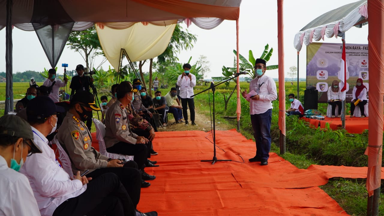 Panen Raya padi berteknologi pupuk futura di Cirebon